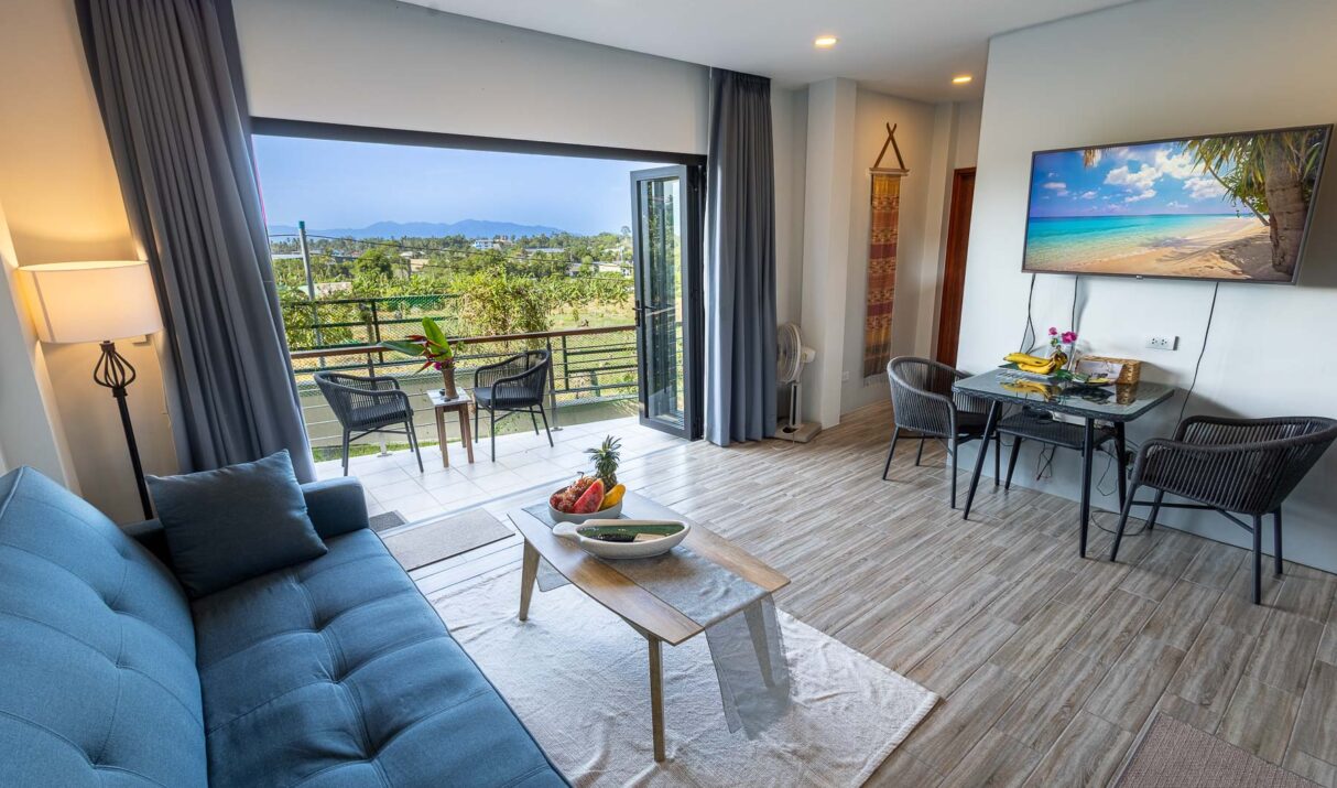 One bedroom apartment with terrace view
